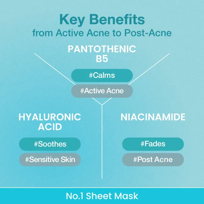 No.1 Pantothenic B5 Hyaluronic Active Clear Mask (4 Sheets)