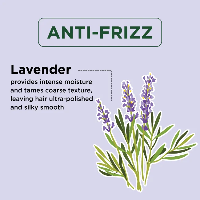 Anti-Frizz Shampoo with Lavender
