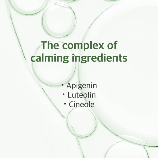 Mugwort Calming Cleanser