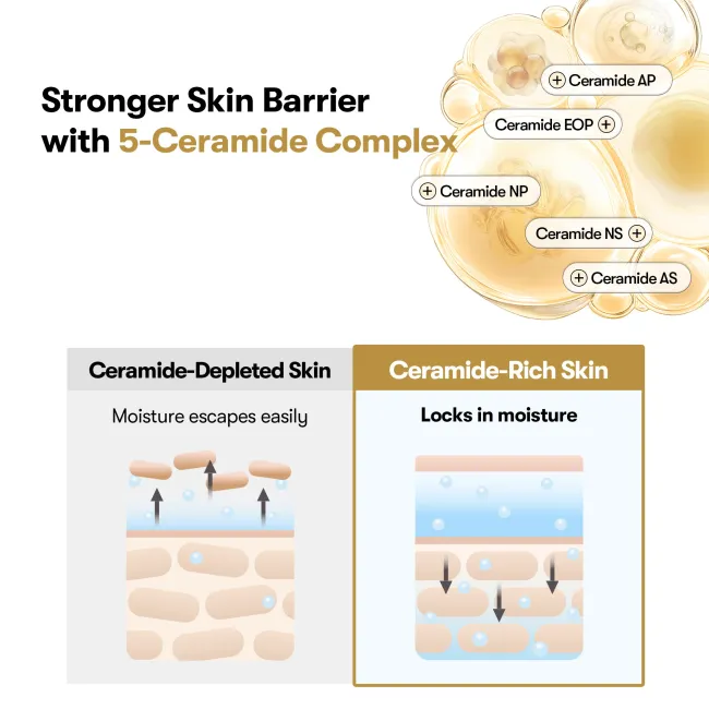 Rice Ceramide Capsule Cream