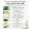 آمپول PDRN مو ریدل شات 100 وی تی کازمتیک احیا، ضد ریزش و تقویت مو