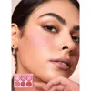پالت رژگونه 6 رنگ شیگلم