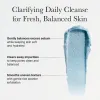 Fresh Blue Hyssop Rice Mochi Cleanser