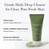 Arencia Green Tea + LHA Deep Pore Rice Cake Cleanser, 5.07 fl oz