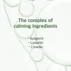 Mugwort Calming Cleanser